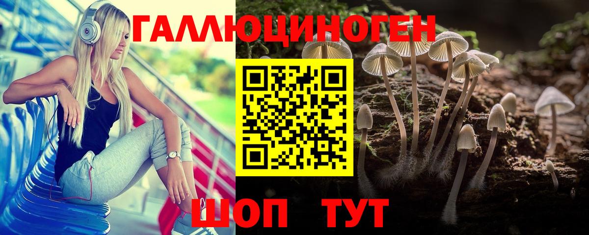 Новодвинск  Псилоцибиновые грибы MAGIC MUSHROOMS  Псилоцибиновые грибы мицелий  Вход с VPN 
